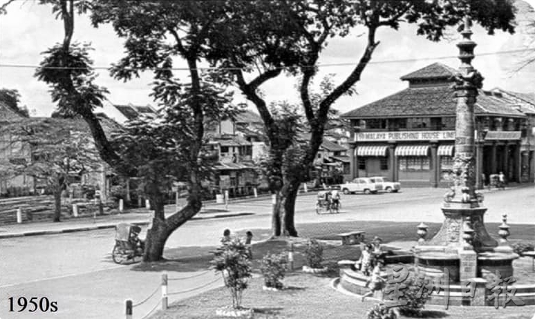 (古城第三版主文)市政厅连夜封路砍伐·红屋2大树正式消失