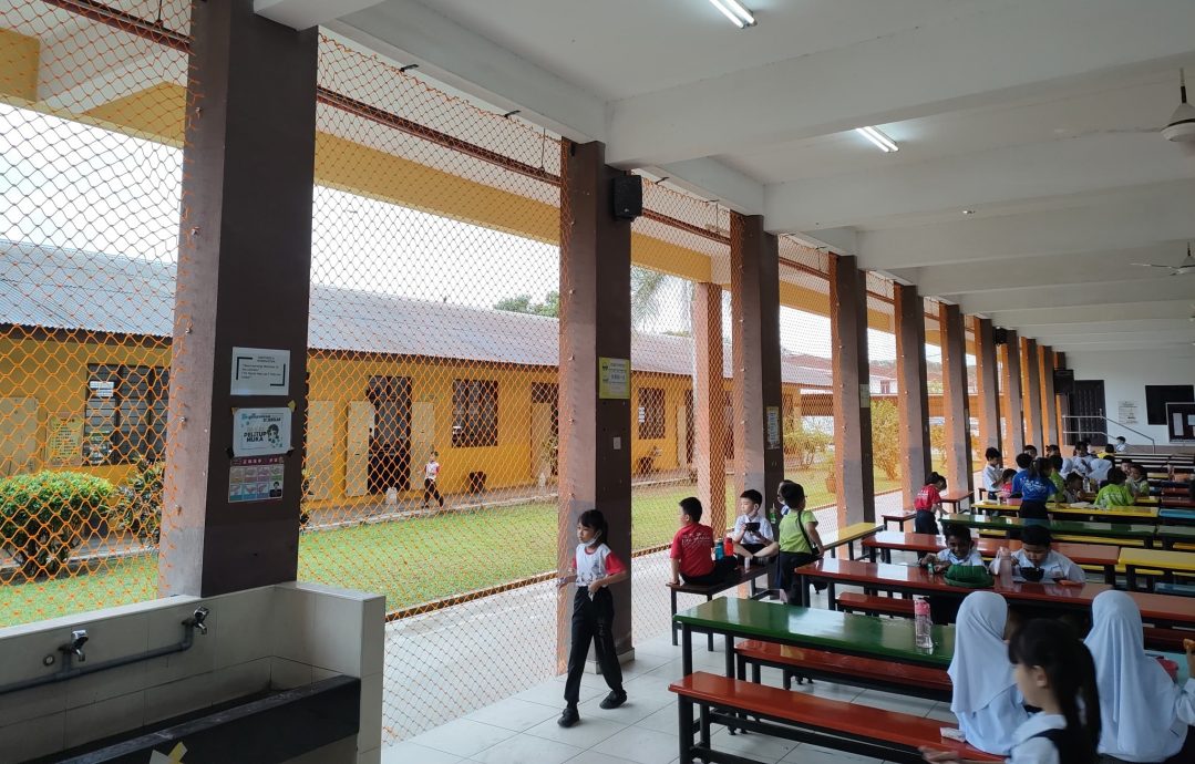 (古城第三版主文)校方在食堂安装围网,解决困扰多年的乌鸦干扰学生用餐问题