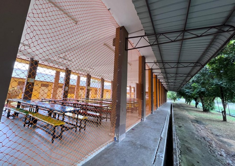 (古城第三版主文)校方在食堂安装围网,解决困扰多年的乌鸦干扰学生用餐问题