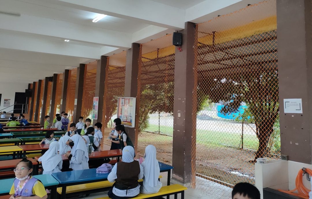 (古城第三版主文)校方在食堂安装围网,解决困扰多年的乌鸦干扰学生用餐问题