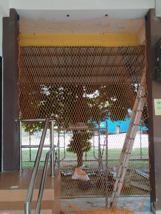 (古城第三版主文)校方在食堂安装围网,解决困扰多年的乌鸦干扰学生用餐问题