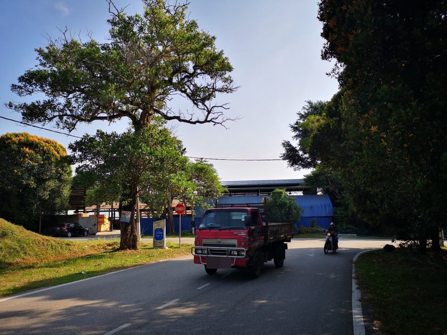 (古城第二版主文)武吉南眉工业区及邻近花园住宅区路旁大树威胁公众安全