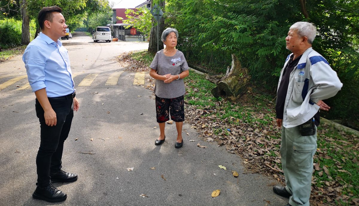 (古城第二版主文)武吉南眉工业区及邻近花园住宅区路旁大树威胁公众安全