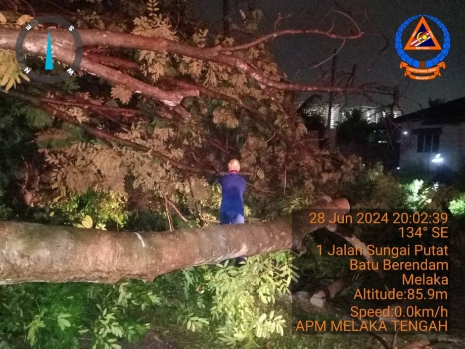 （古城第六版主文）大雨导致泥土松弛 树倒下击中宝马轿车及摩托车