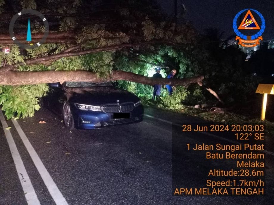 （古城第六版主文）大雨导致泥土松弛 树倒下击中宝马轿车及摩托车