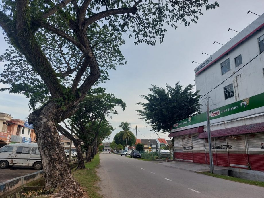 (古城第四版主文)金纱城牌楼已残旧唯无法获得州政府拨款重建,居协盼商家赞助