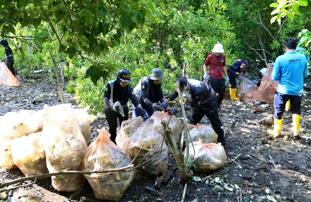（大北马）主文/义工无人岛捡1255公斤垃圾，欲捉12流浪狗回槟岛不果