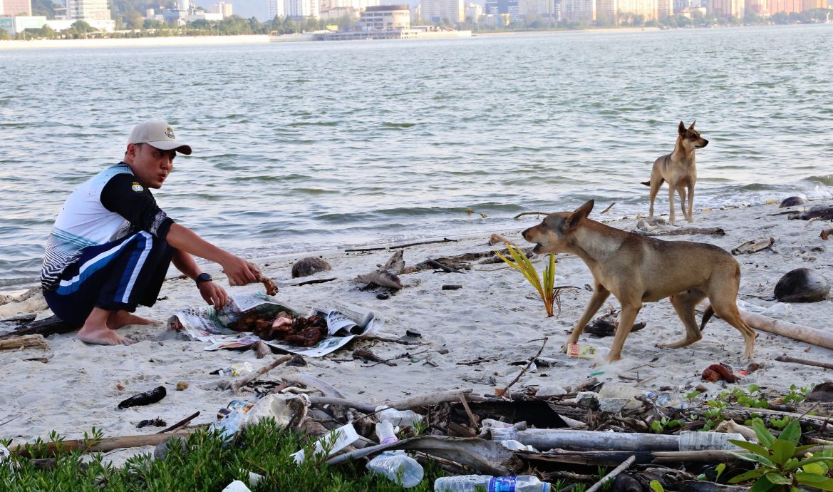 （大北马）主文/义工无人岛捡1255公斤垃圾，欲捉12流浪狗回槟岛不果