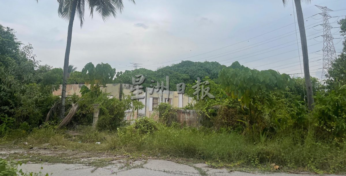 (大北马)主文//昔日热闹农业博览中心如今成荒地