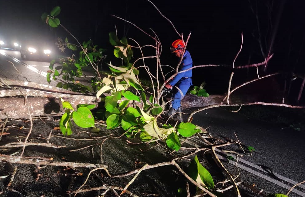 (大北马)吉北今日凌晨下起暴风雨,造成多个地区大树倒塌,其中古邦巴素县内甘榜区的7间屋子受灾,所幸没有任何伤亡。