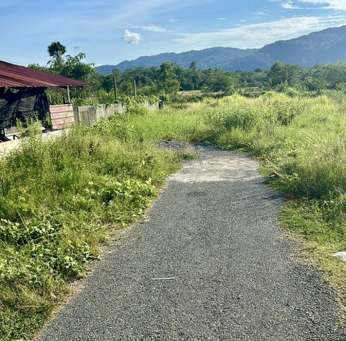 （大北马）本地年轻夫妇开车运毒，被警截查遭起获大麻