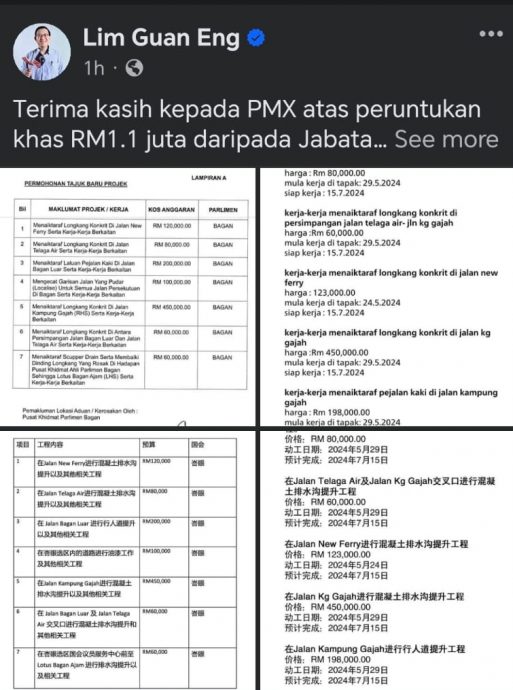 (大北马)林冠英发文感谢首相额外拨款110万令吉