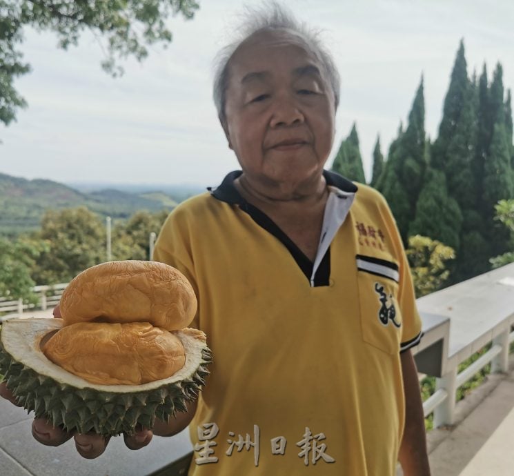 (大北马)舒宁顶这一季榴梿会持续至7月杪