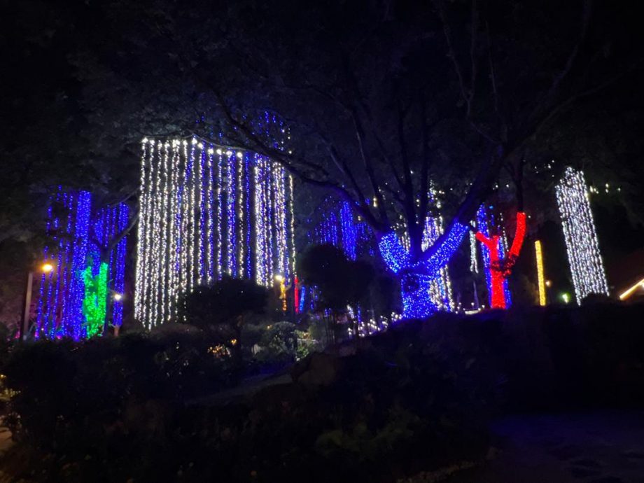 (小画页)大都会/沙亚南湖滨公园灯光闪闪