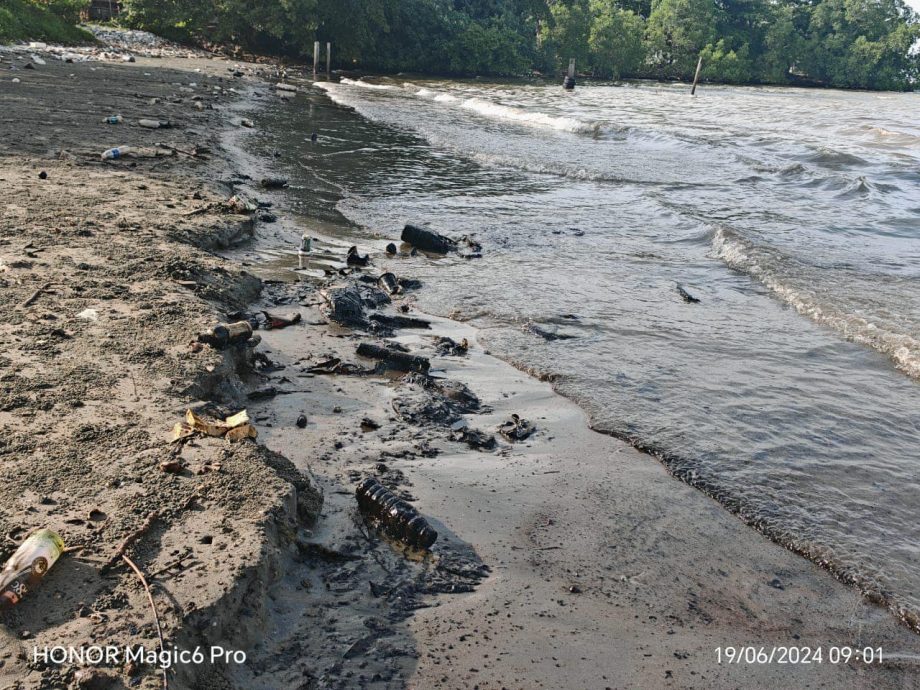 林添顺:撞船事件保险公司 今清理边佳兰油污