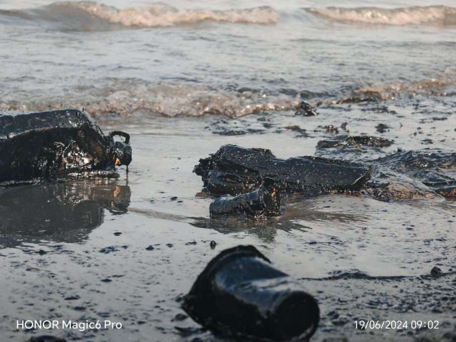 林添顺:撞船事件保险公司 今清理边佳兰油污