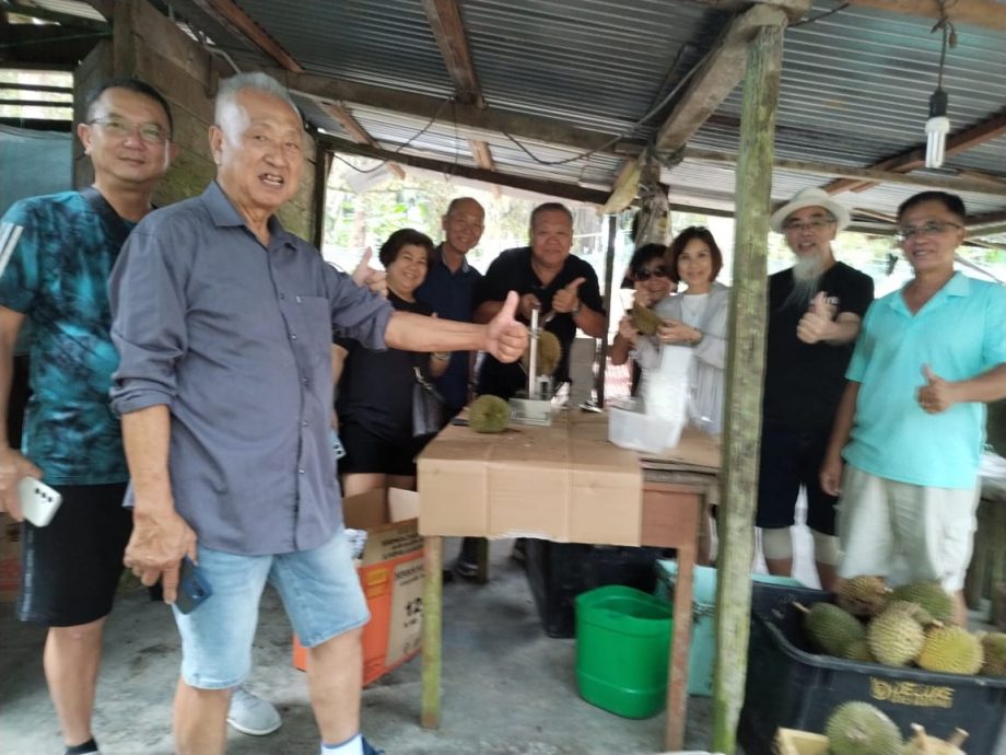 (已签发)柔:**封面**彼咯榴梿上市 天气影响产量大减75% 品质仍绝佳