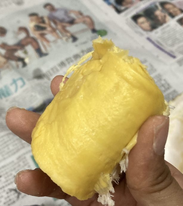 （已签发）柔：**封面**彼咯榴梿上市 天气影响产量大减75% 品质仍绝佳