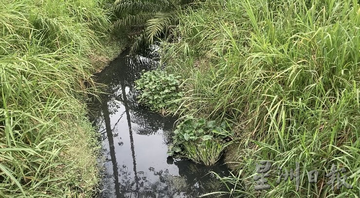 （已签发）柔：**版二头**广西村河水今年数度变黑 村民：何时彻底解决？