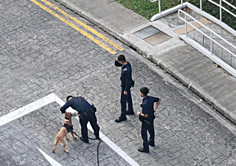 (已签发)柔:狮城二三事:组屋楼下持武器纠众闹事 3少年被捕 1青年送院