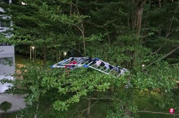 (已签发)柔:狮城二三事:莽汉难忍妻唠叨 怒扔晾衣架下楼