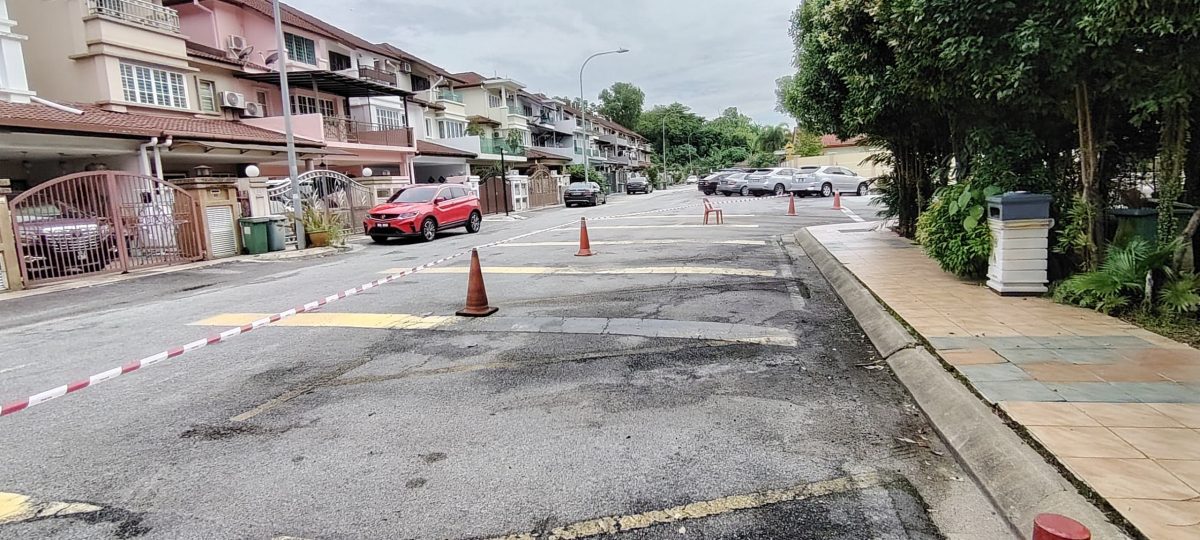 （版2双头之一）大都会/甲洞富城园住区公园砍树灭红蚁计划展延1天进行