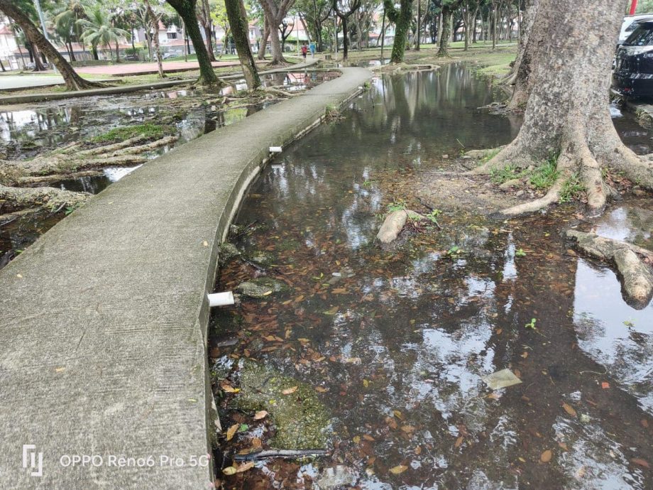 （版2头）大都会/失修多年的蝴蝶公园终获提升