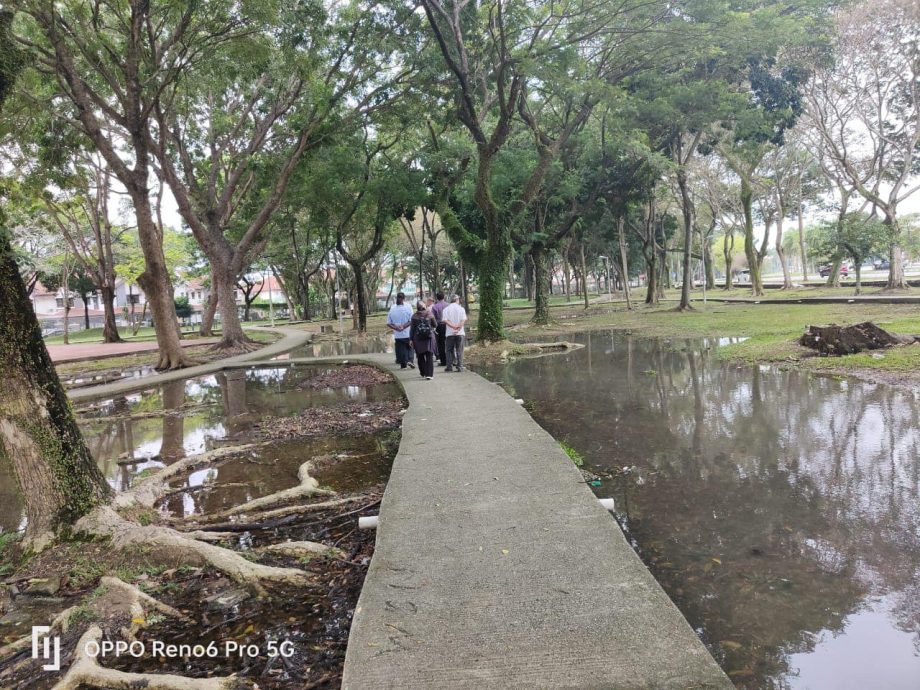 （版2头）大都会/失修多年的蝴蝶公园终获提升