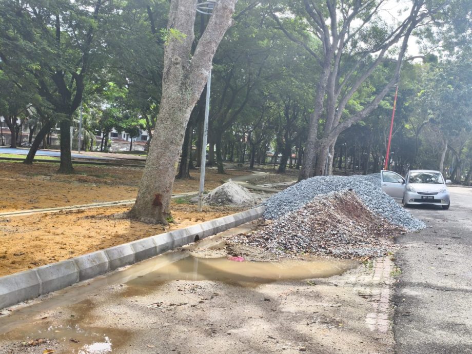 （版2头）大都会/失修多年的蝴蝶公园终获提升