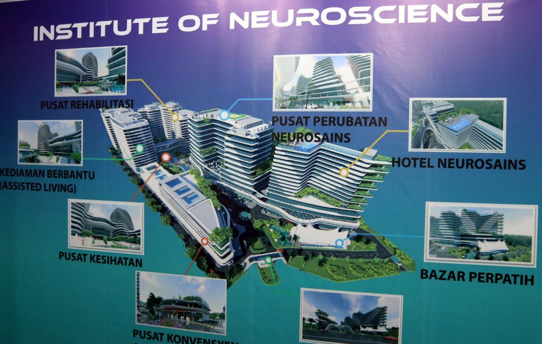 NS芙蓉/难民疑开发园地种菜 阿敏努丁:森土地局已展开调查