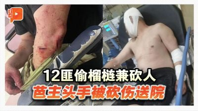 榴梿贼心狠手辣 芭主头手被砍伤送院