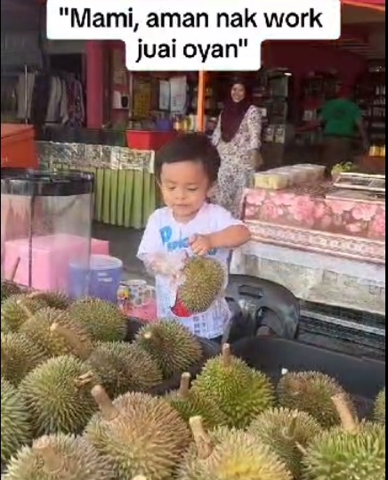 2岁小童专心叫卖榴梿 网赞“太可爱了”