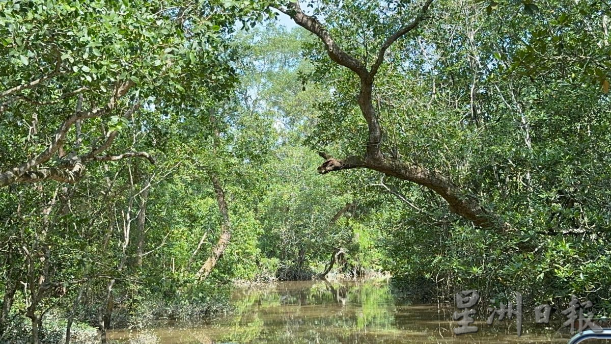 半岛心旅行-宁宜生态游船河 迷你亚马逊河的冒险之旅!