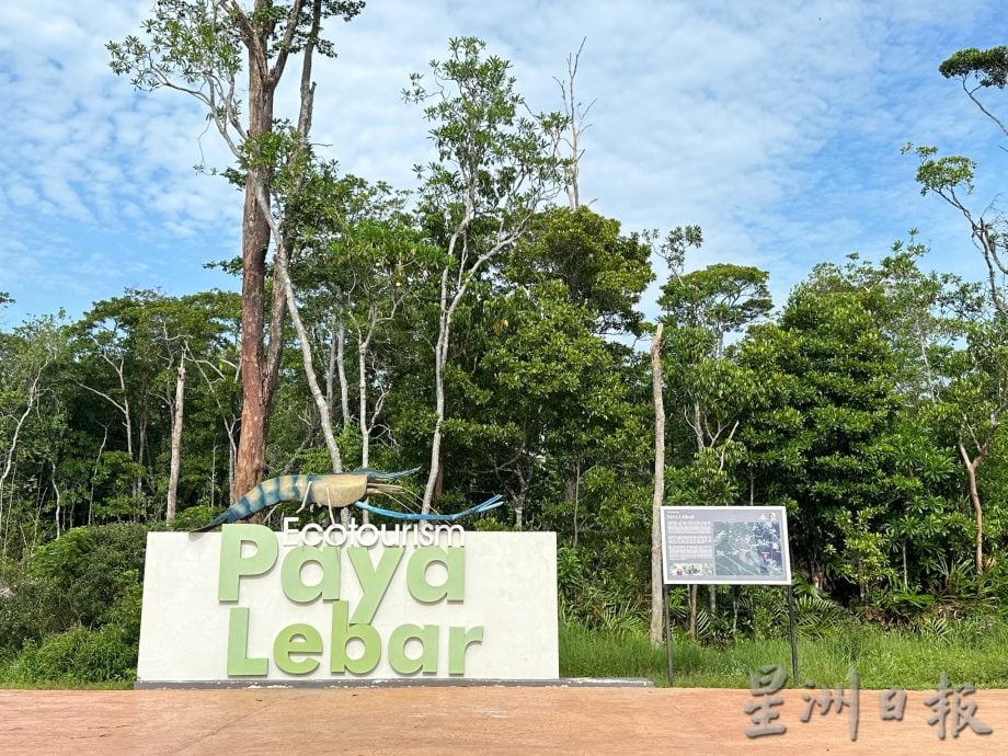 半岛心旅行-宁宜生态游船河 迷你亚马逊河的冒险之旅!