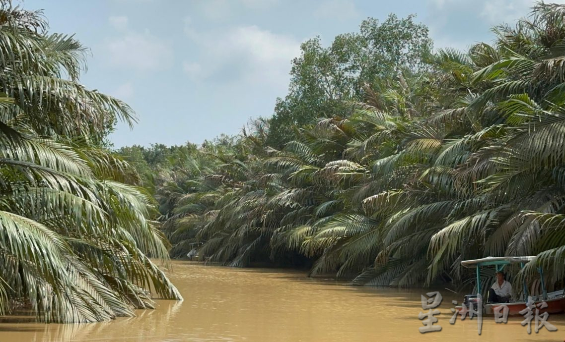 半岛心旅行-宁宜生态游船河 迷你亚马逊河的冒险之旅!