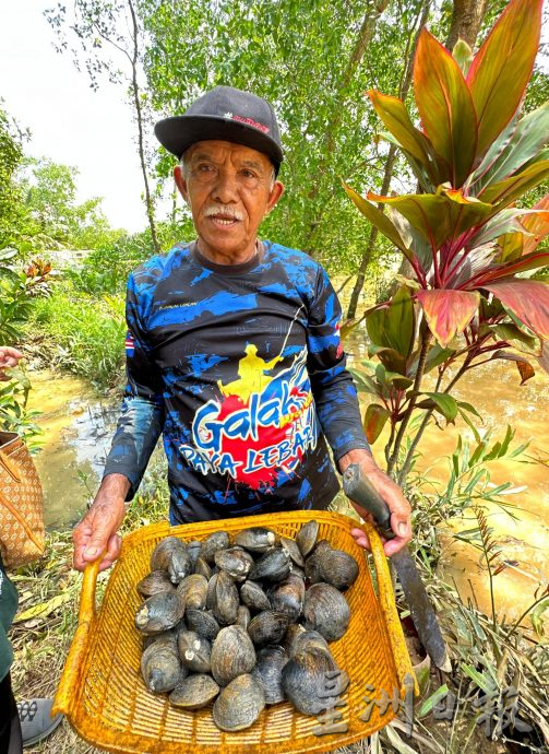 半岛心旅行-宁宜生态游船河 迷你亚马逊河的冒险之旅!