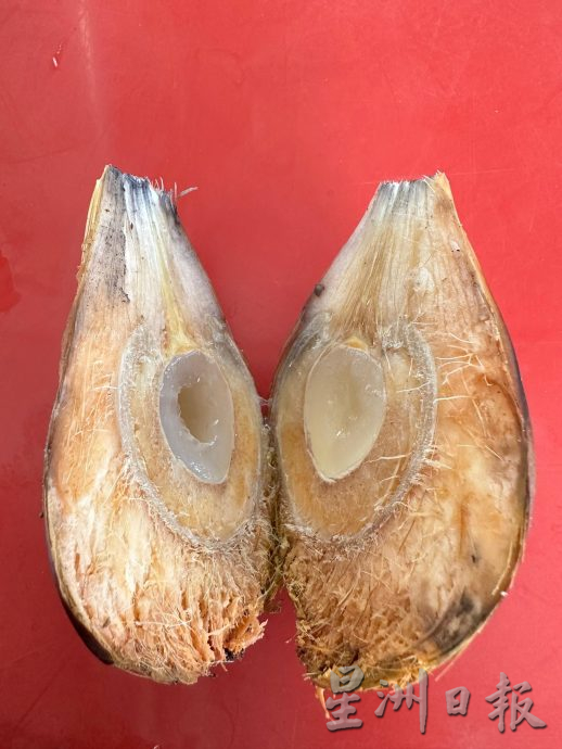 半岛心旅行-宁宜生态游船河 迷你亚马逊河的冒险之旅!