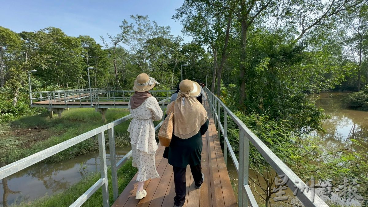半岛心旅行-宁宜生态游船河 迷你亚马逊河的冒险之旅!
