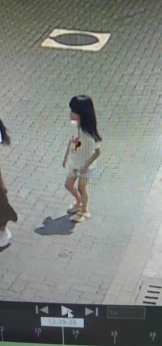 6岁华裔女童失踪| 担忧女童遭跨州掳走 全网征线索助寻廖家慧