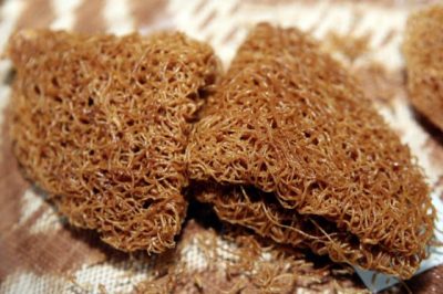 【丰收节/01】走入长屋,感受节庆的神圣与醉醺──达雅族丰收节