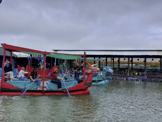 【台湾】台湾农场新体验：食农旅行，好玩又好吃