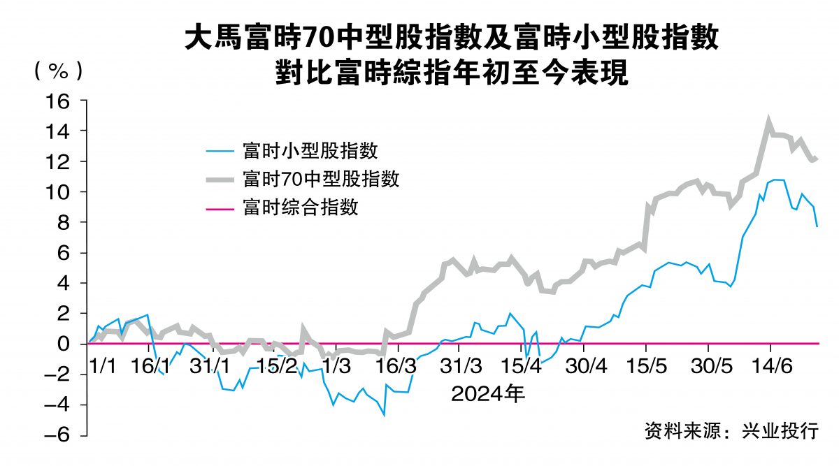 上半年胜大盘股 中小股后市可期