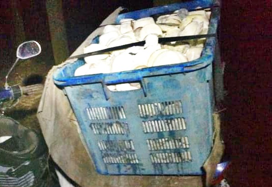 东:整顿废弃胶园