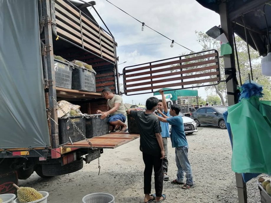 东:榴梿盛产价格更便宜,小贩逢周末送糯米饭痛快吃。