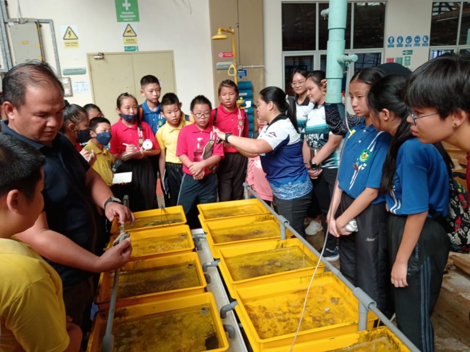 东：马江哇加打北中华小学36名学生走出校园，前往参观登嘉楼马来西亚大学（登大）