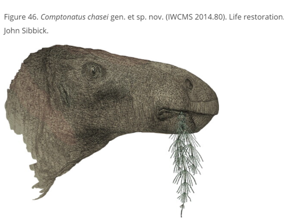 体型像900公斤美洲野牛！　科学家：英国发现百年来最完整恐龙化石