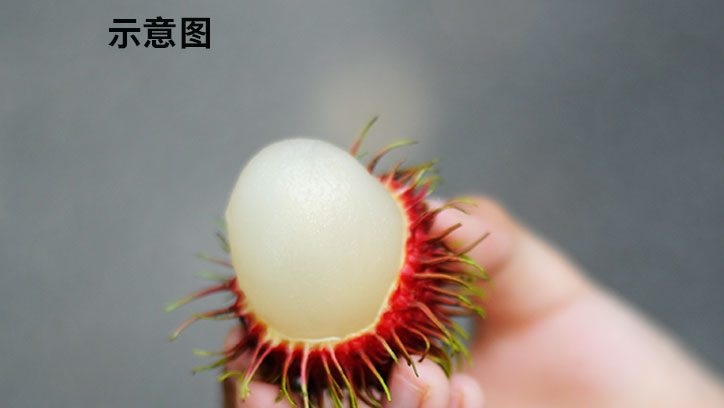 供星洲网：罕见意外！老妇吃红毛丹遭种子噎死