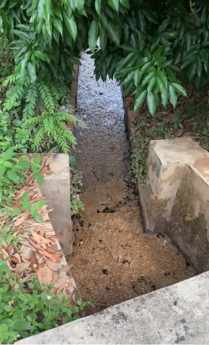 供星洲网:视频|家有恶邻致环境不卫生,女子拍视频投诉引关注