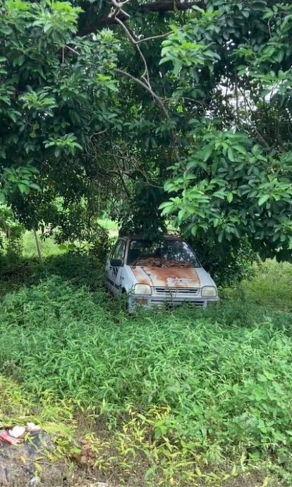 供星洲网:视频|家有恶邻致环境不卫生,女子拍视频投诉引关注