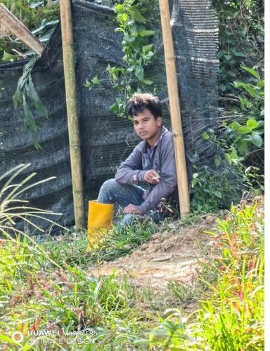 PKPP被指无视庭令,每天前往非法榴梿芭拾取农民辛苦种植的榴梿